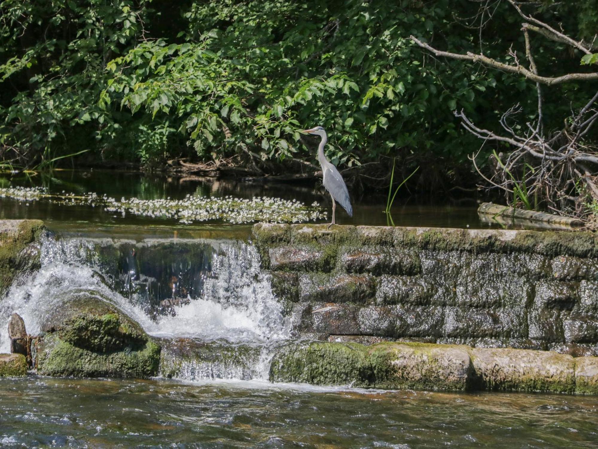 فيلا 21 Eamont Park بنريث المظهر الخارجي الصورة